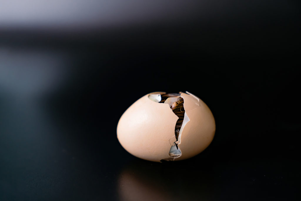 An egg on a black background cracks as a little chick begins to emerge reminding us to pray a prayer for transformation.