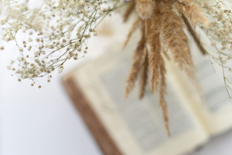 An open Bible blurs in the background of dried flowers encouraging you to overcome skepticism about your faith.