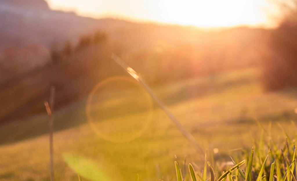 The sun setting over a golden meadow brings images of Jesus coming on that day in the future.