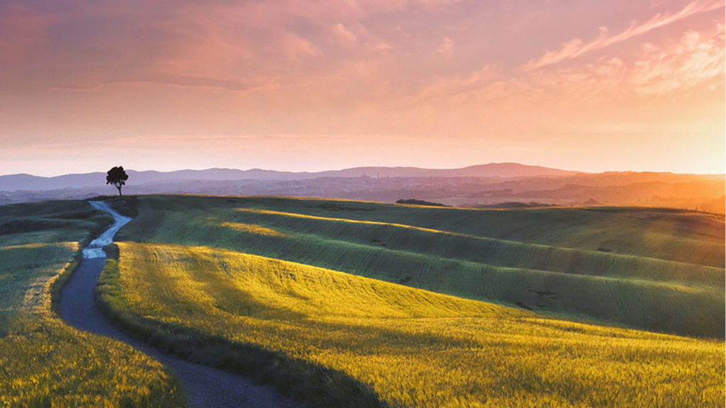 A green and gold field at sunrise with a road running through it where we are welcoming the prodigal home.